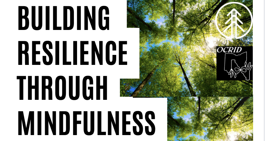 You are currently viewing Building Resilience through Mindfulness